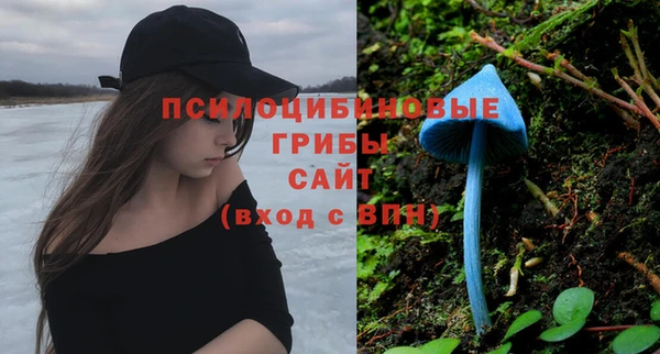 гидропоника Михайловка