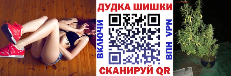 Бошки марихуана индика это Telegram Тогучин наркота